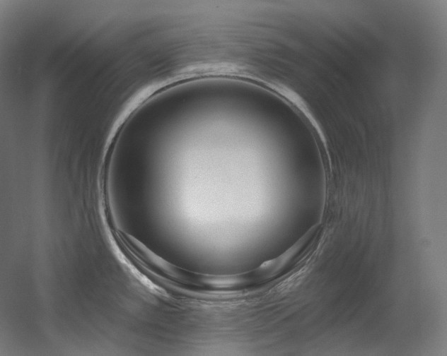 X0000060581389200511031324
