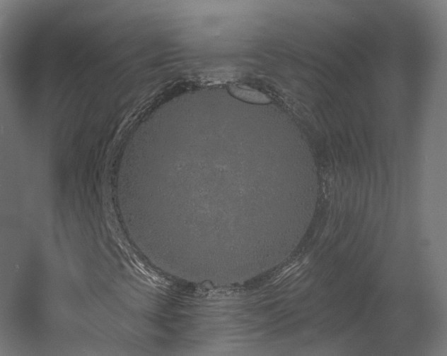 X0000060581393200511031323