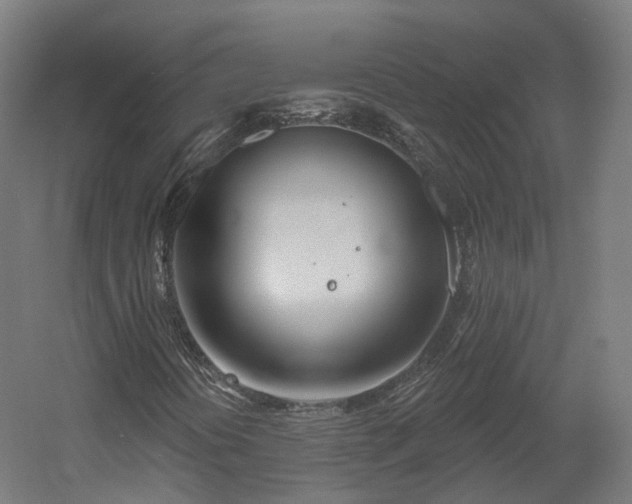 X0000060581394200511031323