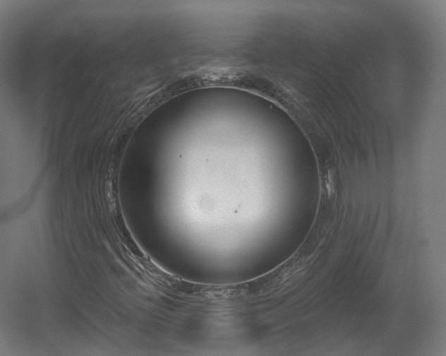X0000060581396200511031323