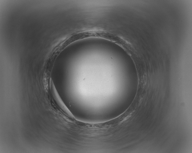 X0000060581398200511031323