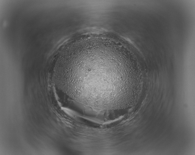 X0000060581399200511031323