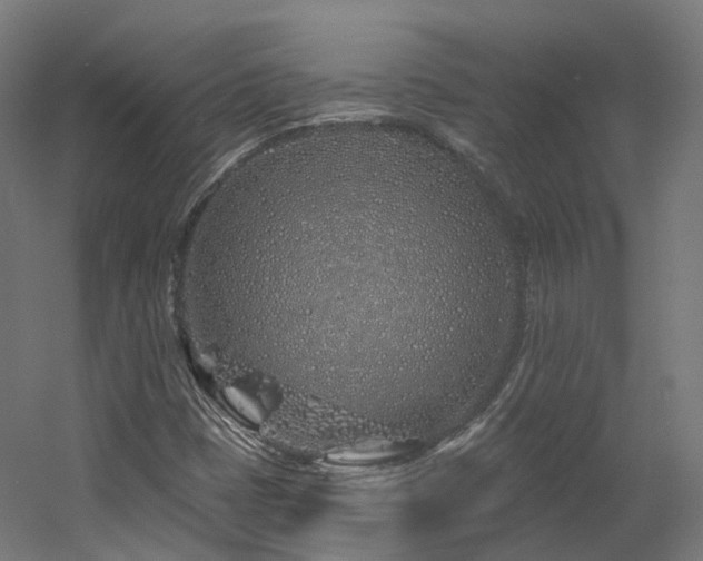 X0000060581401200511031323