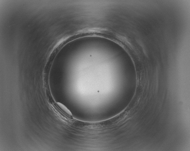 X0000060581404200511031323