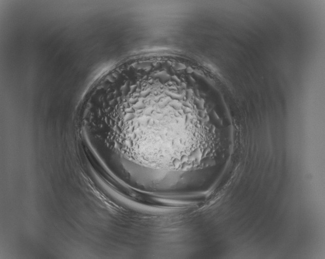 X0000060581405200511031323