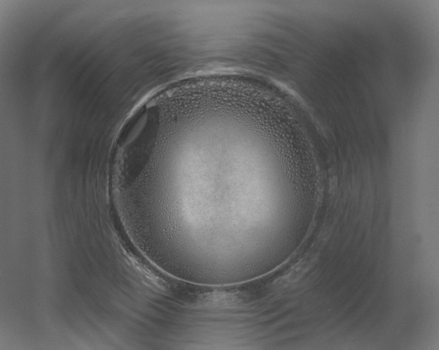 X0000060581409200511031323