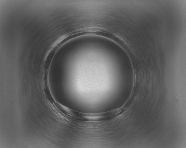 X0000060581410200511031323