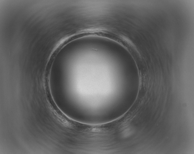 X0000060581412200511031323