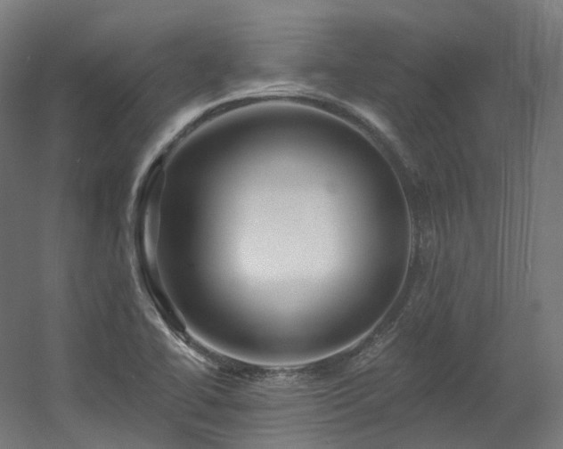 X0000060581414200511031324