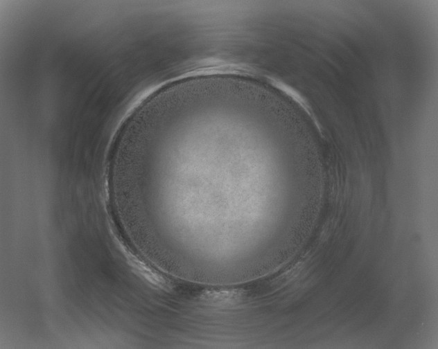 X0000060581415200511031324