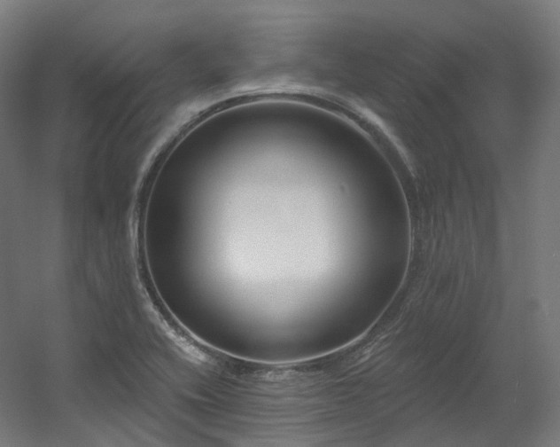 X0000060581416200511031324