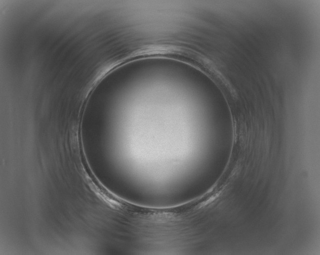 X0000060581417200511031324