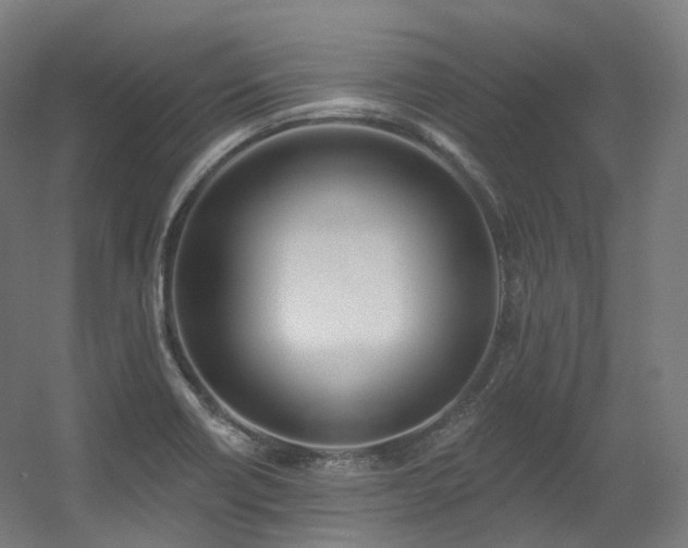 X0000060581418200511031324