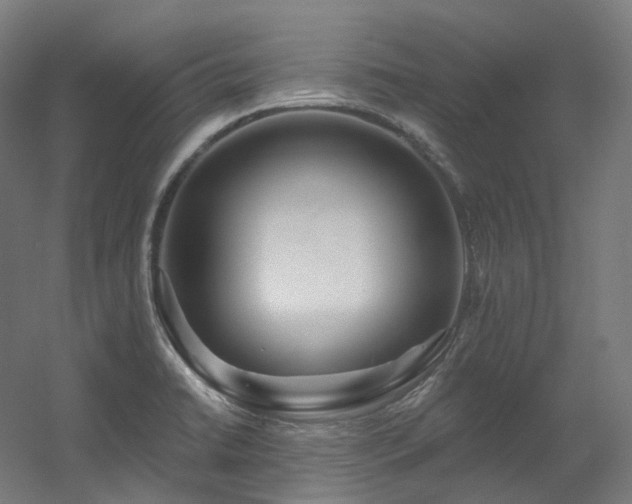X0000060581422200511031324