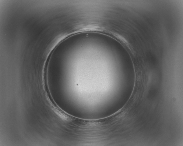 X0000060581423200511031324
