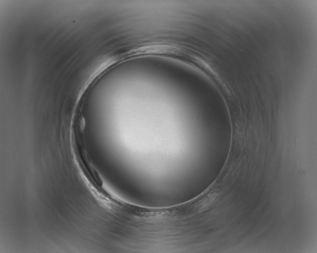 X0000060581426200511031324