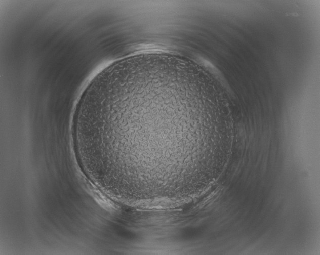 X0000060581427200511031324