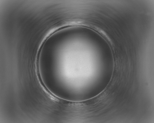X0000060581432200511031324