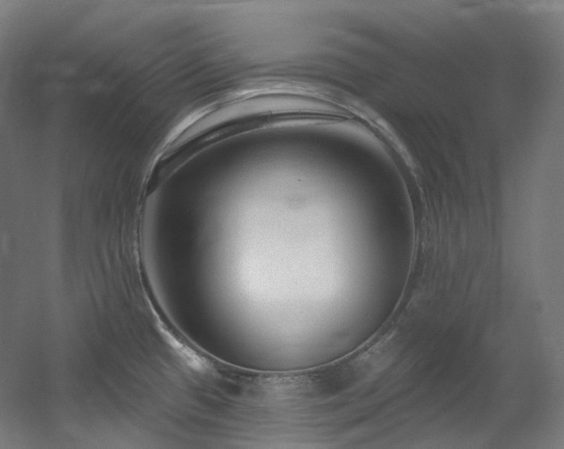X0000060581433200511031324