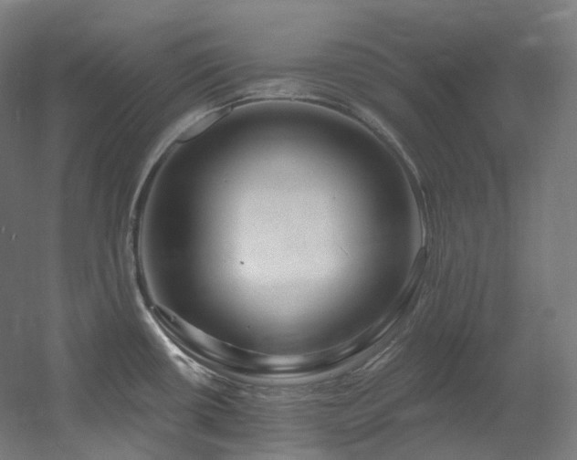 X0000060581434200511031324
