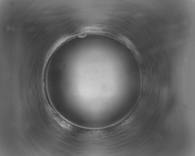 X0000060581435200511031324