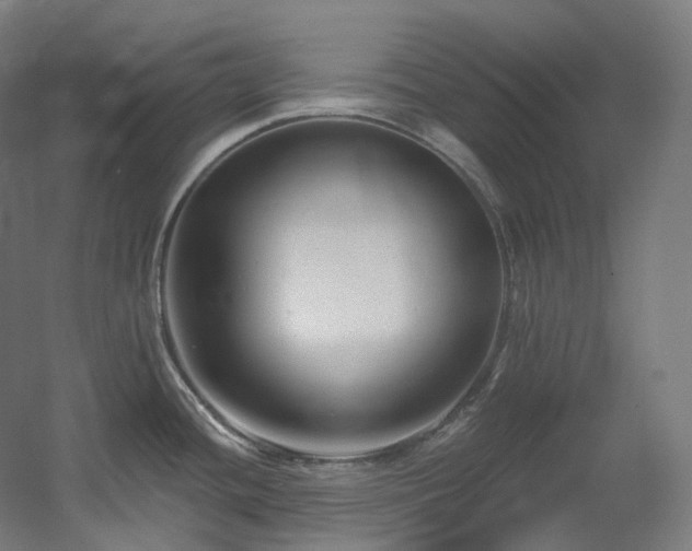 X0000060581436200511031324