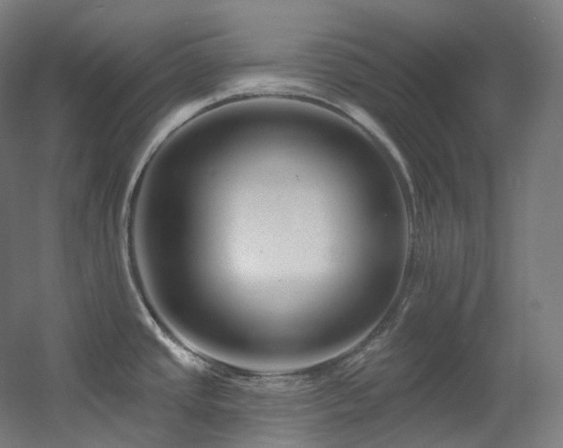 X0000060581437200511031324