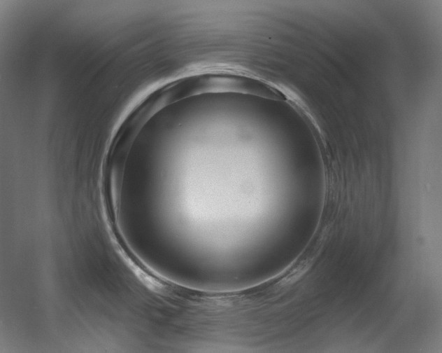 X0000060581438200511031324