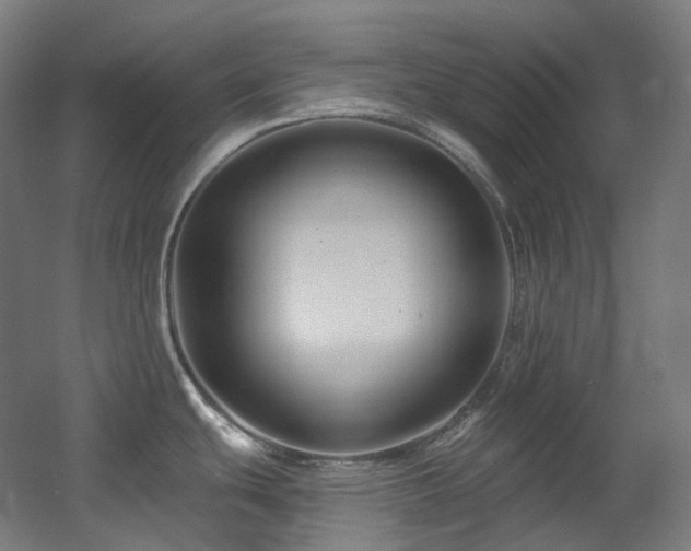 X0000060581439200511031324