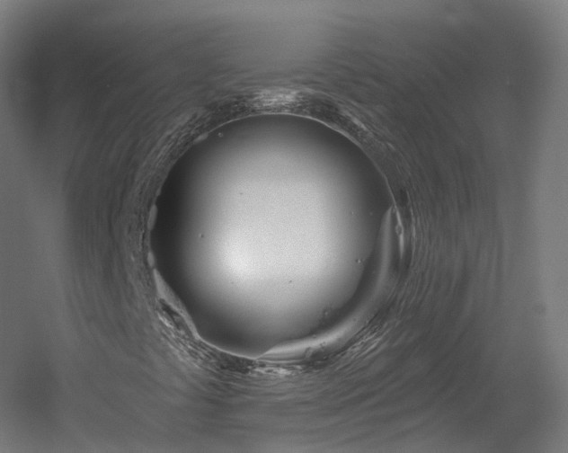 X0000060581441200511031323