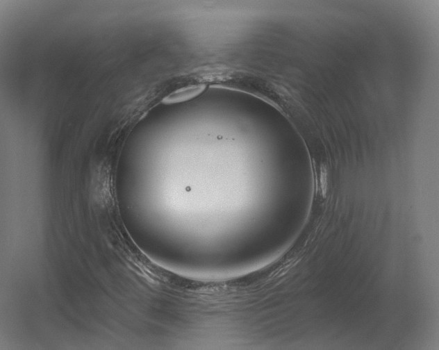 X0000060581444200511031323
