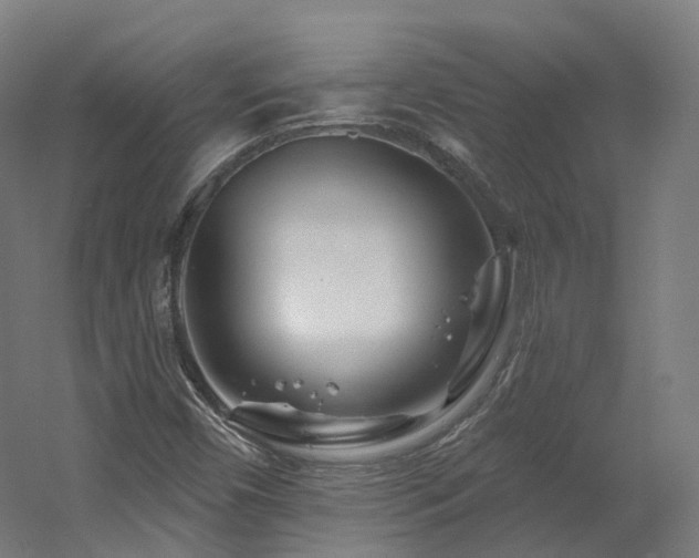 X0000060581450200511031323