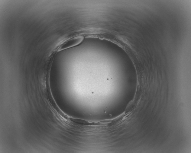 X0000060581451200511031323