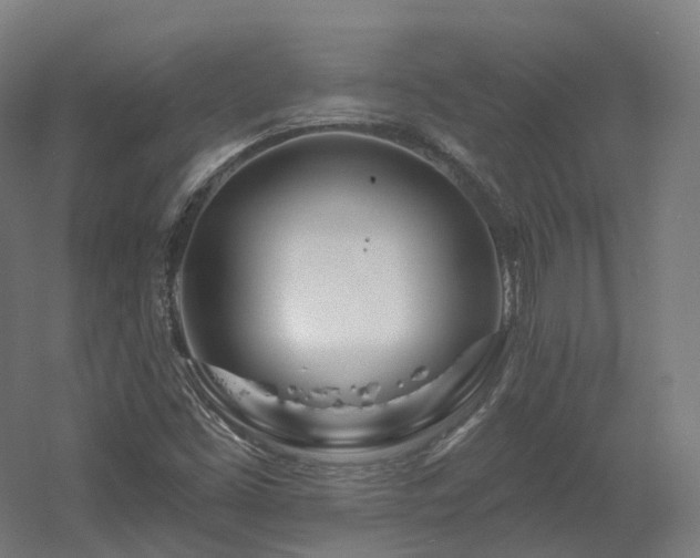 X0000060581453200511031323