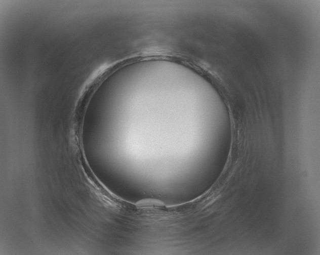 X0000060581454200511031323