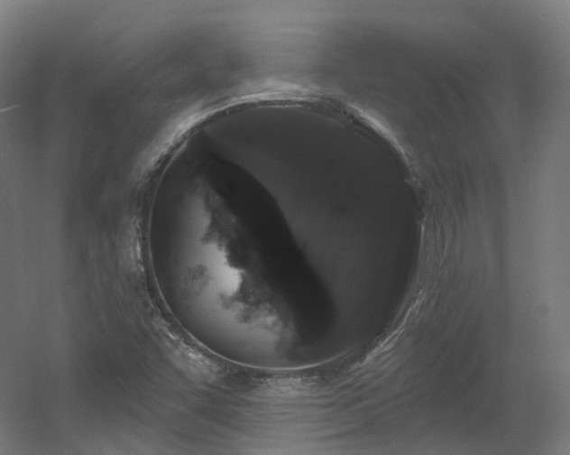 X0000060581455200511031323
