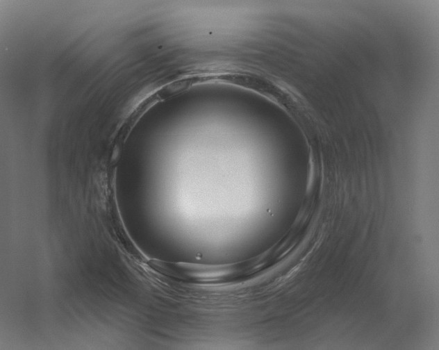 X0000060581457200511031323