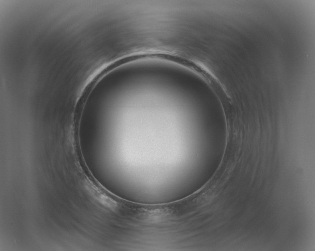 X0000060581460200511031323