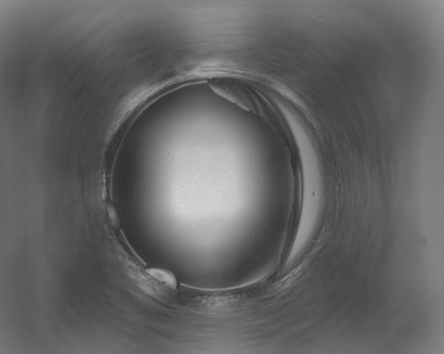 X0000060581461200511031323