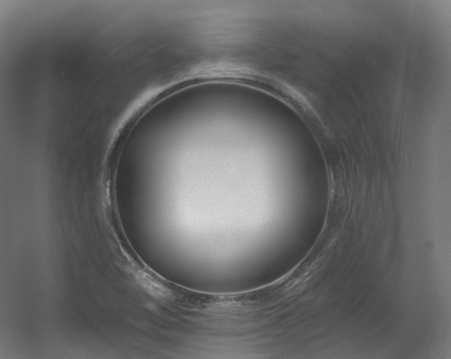 X0000060581462200511031323