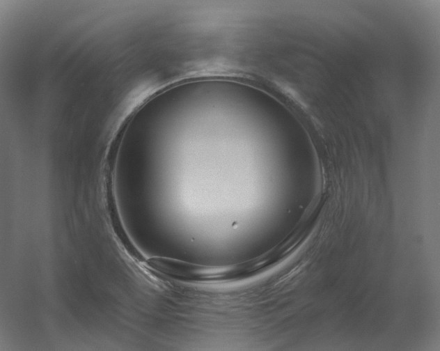 X0000060581463200511031323