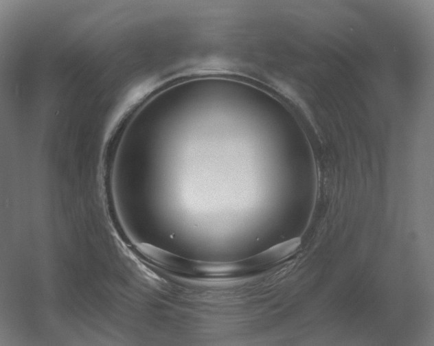 X0000060581464200511031323