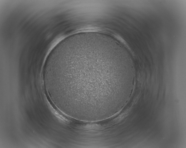 X0000060581466200511031323