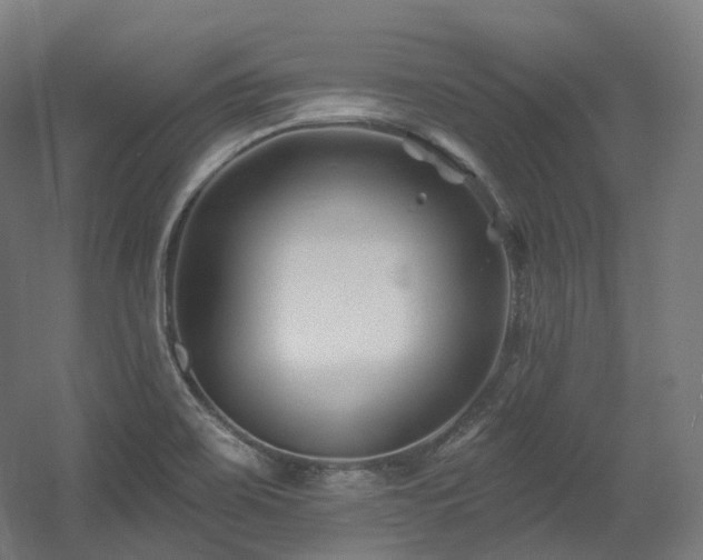 X0000060581467200511031323