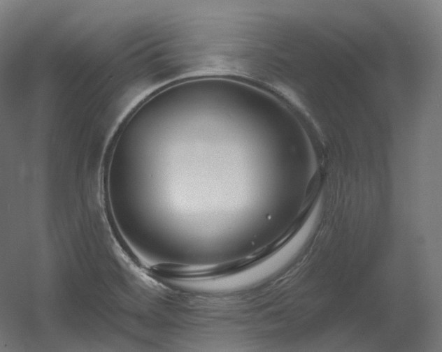 X0000060581468200511031323