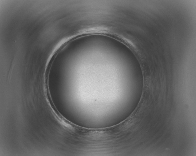 X0000060581470200511031323