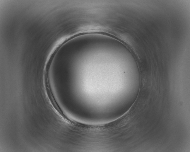 X0000060581472200511031323
