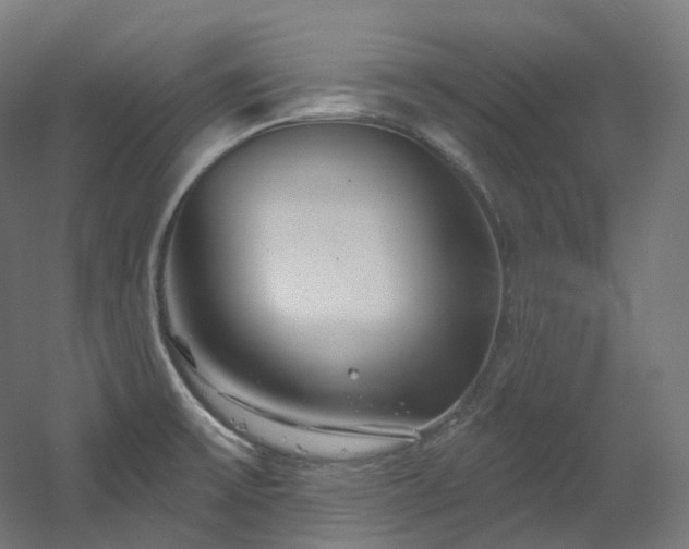 X0000060581475200511031323