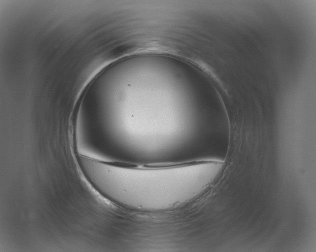 X0000060581476200511031323