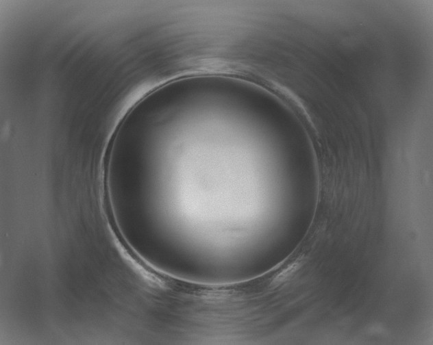 X0000060581479200511031322